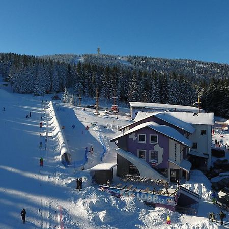 Pension Max Klinovec Loucná pod Klínovcem Exterior foto